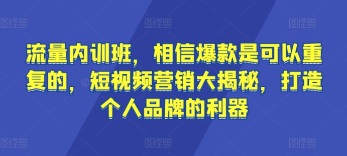 流量内训班，相信爆款是可以重复的，短视频营销大揭秘，打造个人品牌的利器-小伟资源网