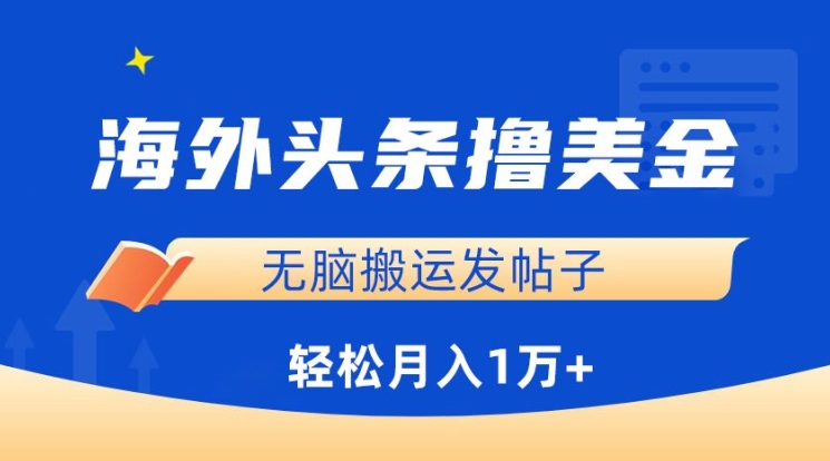 海外头条撸美金，无脑搬运发帖子，月入1万+，小白轻松掌握【揭秘】-小伟资源网