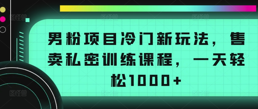 男粉项目冷门新玩法，售卖私密训练课程，一天轻松1000+【揭秘】-小伟资源网