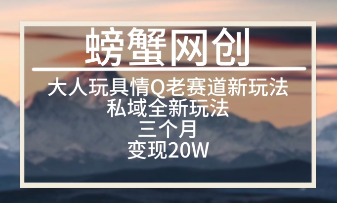 大人玩具情Q用品赛道私域全新玩法，三个月变现20W，老项目新思路【揭秘】-小伟资源网