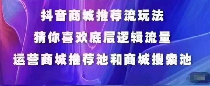 抖音商城运营课程，猜你喜欢入池商城搜索商城推荐人群标签覆盖-小伟资源网