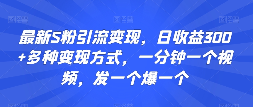 最新S粉引流变现，日收益300+多种变现方式，一分钟一个视频，发一个爆一个【揭秘】-小伟资源网