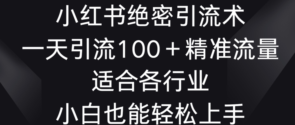 小红书绝密引流术，一天引流100+精准流量，适合各个行业，小白也能轻松上手【揭秘】-小伟资源网