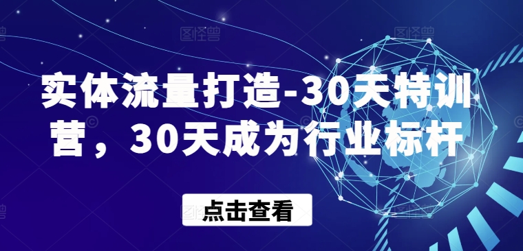 实体流量打造-30天特训营，30天成为行业标杆-小伟资源网