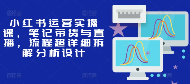 小红书运营实操课，笔记带货与直播，流程超详细拆解分析设计-小伟资源网