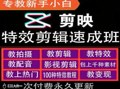 剪映特效教程和运营变现教程，特效剪辑速成班，专教新手小白-小伟资源网