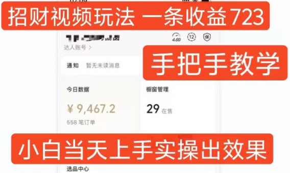 招财视频玩法，一条视频收益723，手把手教学，小白当天可上手-小伟资源网