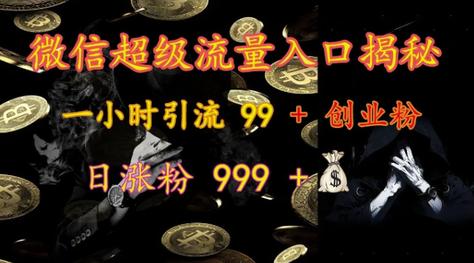 微信超级流量入口揭秘：一小时引流 99 + 创业粉，日涨粉 999 +-小伟资源网