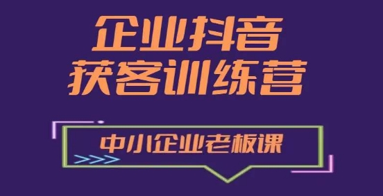 抖音营销训练营：中小企业老板必学获客秘籍-小伟资源网