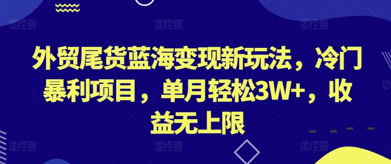 外贸尾货蓝海变现新玩法，冷门暴利项目，单月轻松3W+，收益无上限【揭秘】-小伟资源网