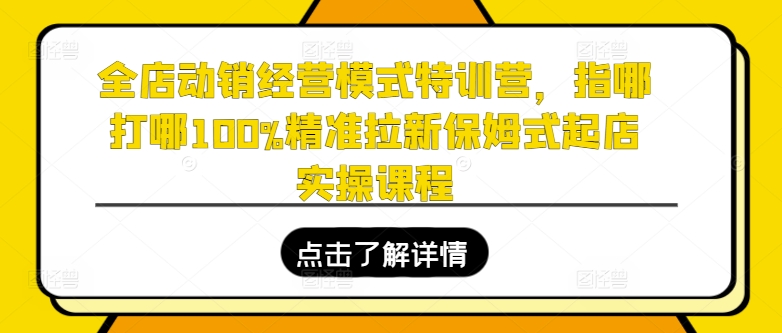 全店动销经营特训：精准拉新与保姆式起店实操指南-小伟资源网