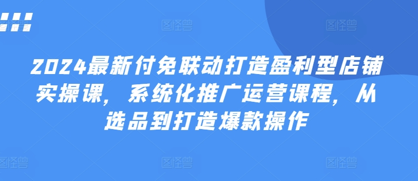 2024年盈利型店铺实操课：系统化推广选品打造爆款-小伟资源网