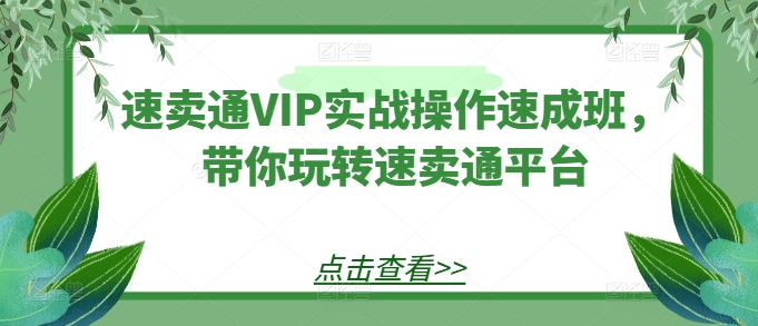 速卖通VIP实战操作速成班，带你玩转速卖通平台-小伟资源网