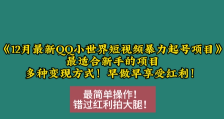 12月最新QQ小世界短视频暴力起号项目，最适合新手的项目，多种变现方式-小伟资源网