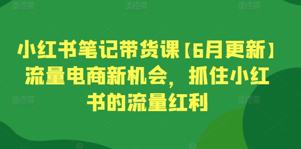 小红书笔记带货课【6月更新】流量电商新机会，抓住小红书的流量红利-小伟资源网