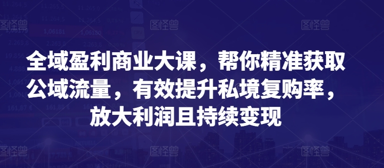 全域盈利商业大课，帮你精准获取公域流量，有效提升私境复购率，放大利润且持续变现-小伟资源网