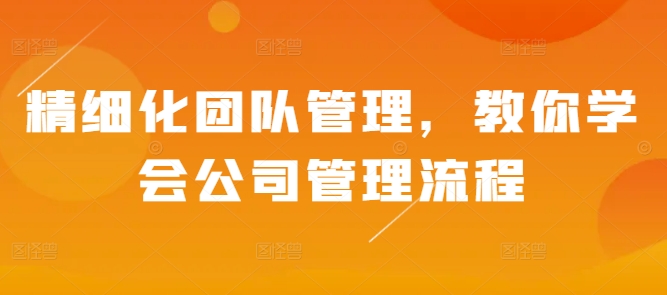 精细化团队管理，教你学会公司管理流程-小伟资源网