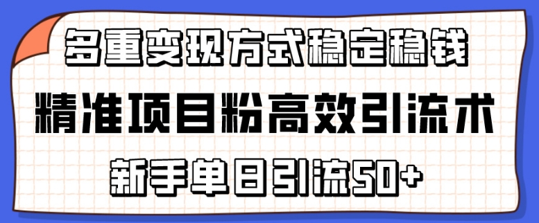 精准项目粉高效引流术，新手单日引流50+，多重变现方式稳定赚钱【揭秘】-小伟资源网