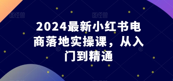 2024最新小红书电商落地实操课，从入门到精通-小伟资源网