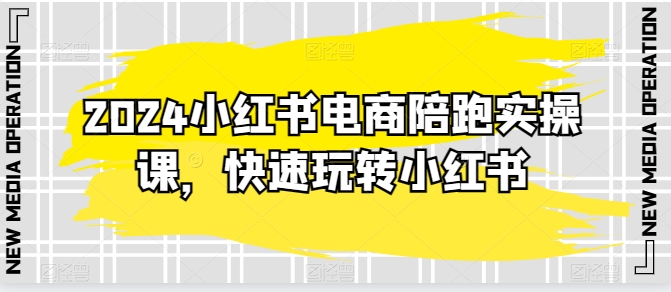 2024小红书电商陪跑实操课，快速玩转小红书，超过20节精细化课程-小伟资源网