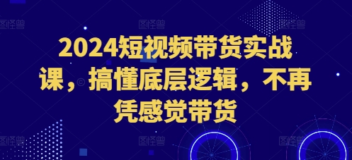 2024短视频带货实战课，搞懂底层逻辑，不再凭感觉带货-小伟资源网