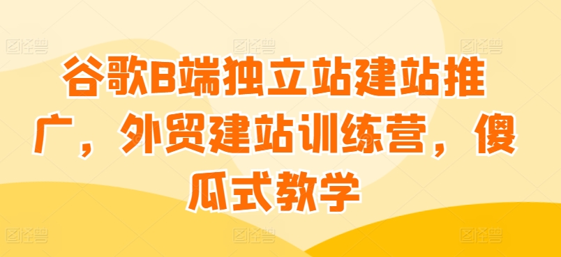 谷歌B端独立站建站推广，外贸建站训练营，傻瓜式教学-小伟资源网