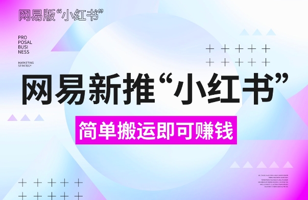 网易官方新推“小红书”，搬运即有收益，新手小白千万别错过(附详细教程)【揭秘】-小伟资源网