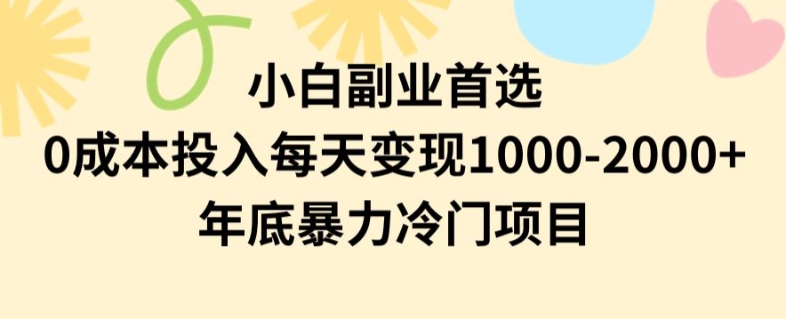 小白副业首选，0成本投入，每天变现1000-2000年底暴力冷门项目【揭秘】-小伟资源网