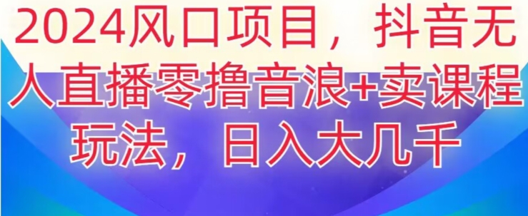 2024风口项目，抖音无人主播撸音浪+卖课程玩法，日入大几千【揭秘】-小伟资源网