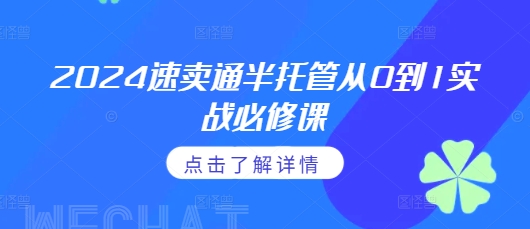 2024速卖通半托管从0到1实战必修课，掌握通投广告打法、熟悉速卖通半托管的政策细节-小伟资源网