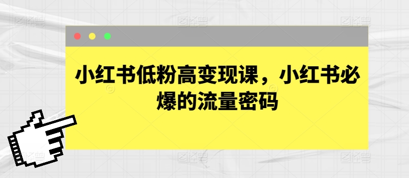 小红书低粉高变现课，小红书必爆的流量密码-小伟资源网