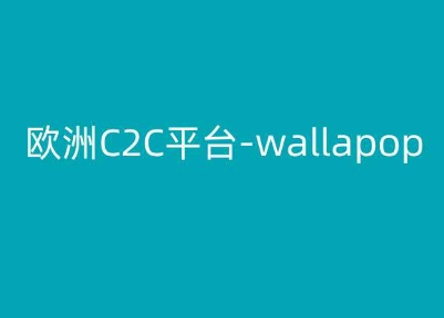 欧洲C2C平台-wallapop-kim跨境电商教程-小伟资源网