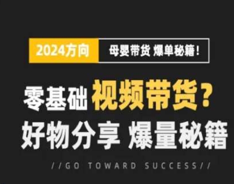 短视频母婴带货实操训练营：零基础流量秘籍，好物分享，快速爆量-小伟资源网