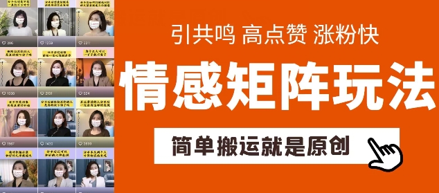 简单搬运，情感矩阵玩法，涨粉速度快，可带货，可起号【揭秘】-小伟资源网