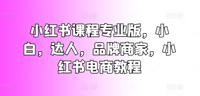 小红书课程专业版，小白，达人，品牌商家，小红书电商教程-小伟资源网