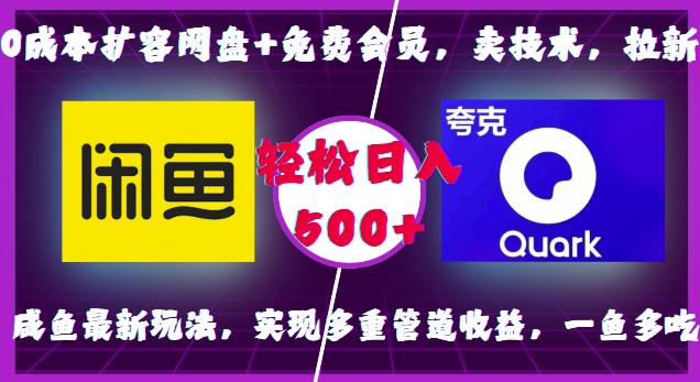 0成本扩容网盘+免费会员，卖技术，拉新，咸鱼最新玩法，实现多重管道收益，一鱼多吃，轻松日入500+-小伟资源网