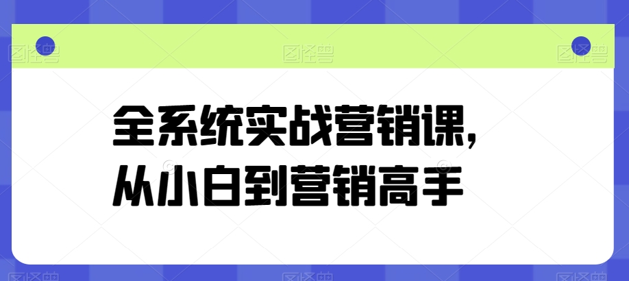 全系统实战营销课，从小白到营销高手-小伟资源网