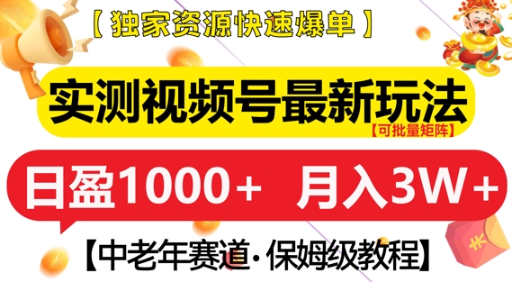 实测视频号最新玩法，中老年赛道，独家资源，月入过W+【揭秘】-小伟资源网