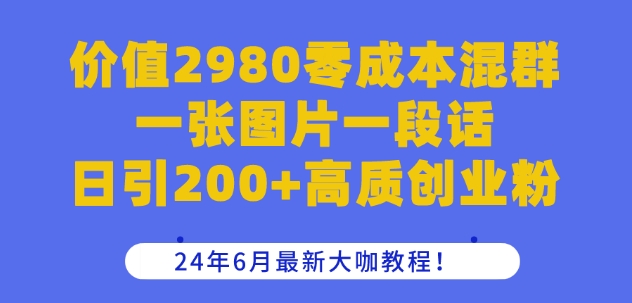 价值2980零成本混群一张图片一段话日引200+高质创业粉，24年6月最新大咖教程【揭秘】-小伟资源网