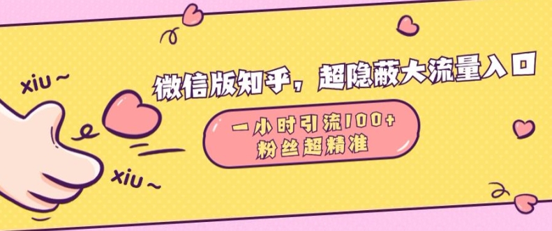 微信版知乎，超隐蔽流量入口1小时引流100人，粉丝质量超高【揭秘】-小伟资源网