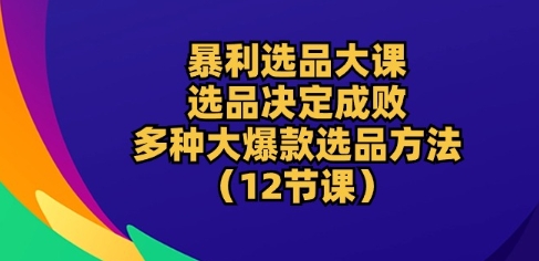 暴利选品大课：选品决定成败，教你多种大爆款选品方法(12节课)-小伟资源网