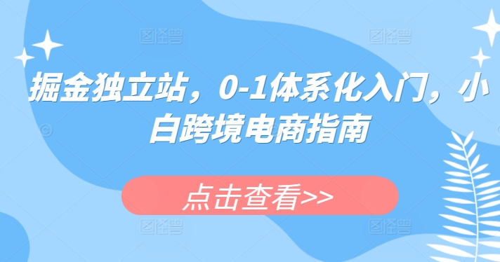 掘金独立站，0-1体系化入门，小白跨境电商指南-小伟资源网