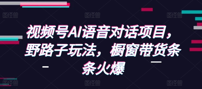 视频号AI语音对话项目，野路子玩法，橱窗带货条条火爆-小伟资源网