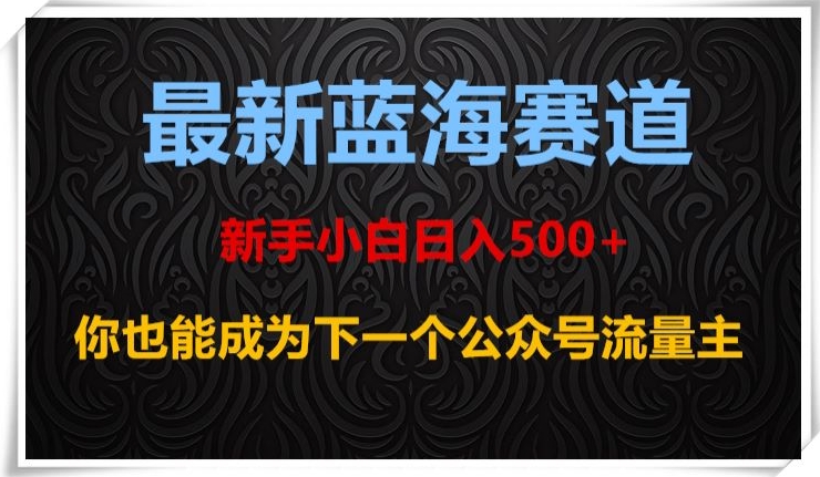 最新蓝海赛道，新手小白日入500+，你也能成为下一个公众号流量主【揭秘】-小伟资源网