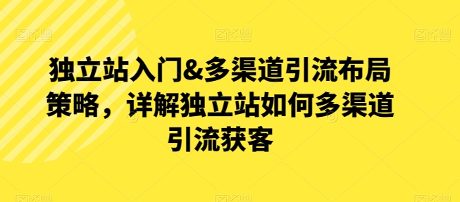 独立站入门&多渠道引流布局策略，详解独立站如何多渠道引流获客-小伟资源网