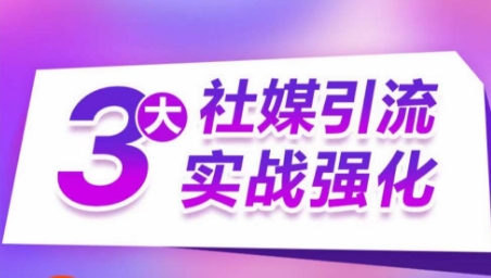 3大社媒引流实战强化，多渠道站外引流，高效精准获客，订单销售额翻倍增长-小伟资源网