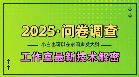 2025问卷调查最新工作室技术解密：一个人在家也可以闷声发大财，小白一天2张，可矩阵放大【揭秘】-小伟资源网