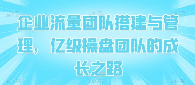 企业流量团队搭建与管理，亿级操盘团队的成长之路-小伟资源网