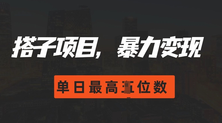 2024搭子玩法，0门槛，暴力变现，单日最高破四位数【揭秘】-小伟资源网