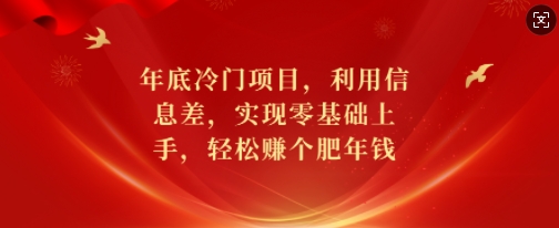 年底冷门项目揭秘：信息差助力零基础轻松赚钱-小伟资源网